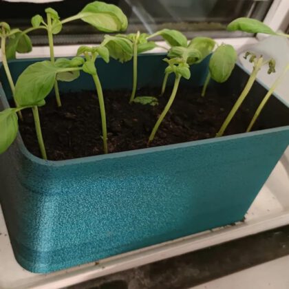 Basil planter/pot