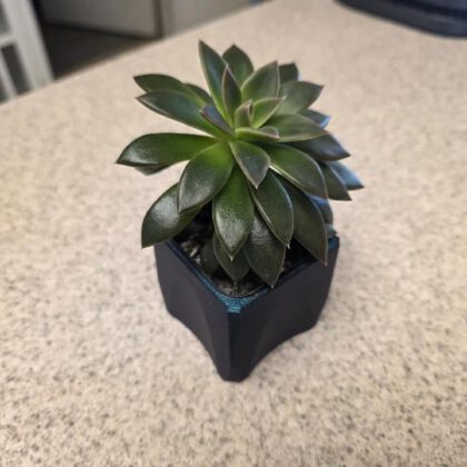 Square Planter for 2＂x2＂ Insert