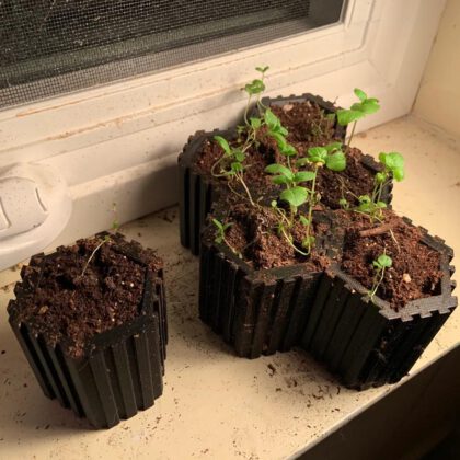 Interlocking Hexagonal Seedling Planters