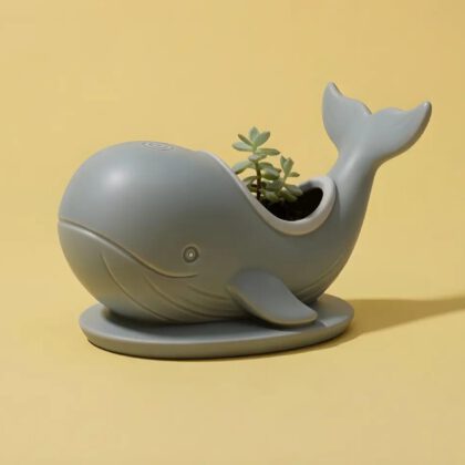 Whale Succulent Pot