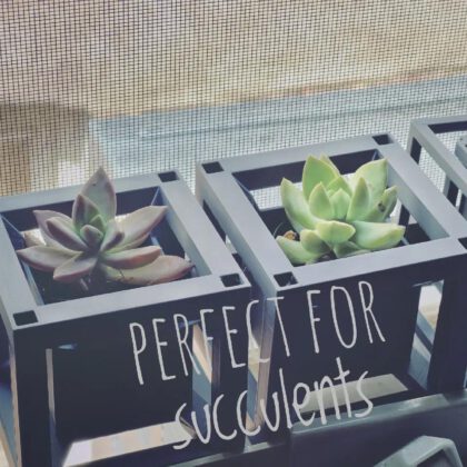 Hypercube Planter