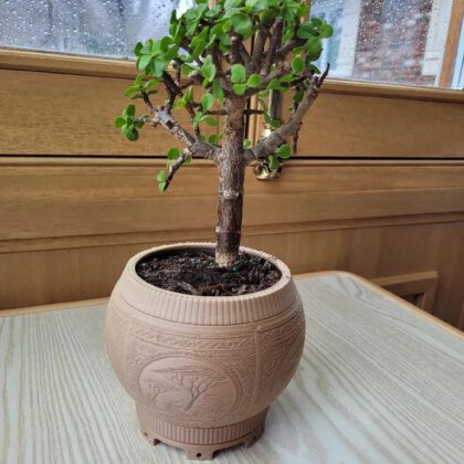 Carved Planter