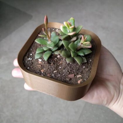 Simple and Small