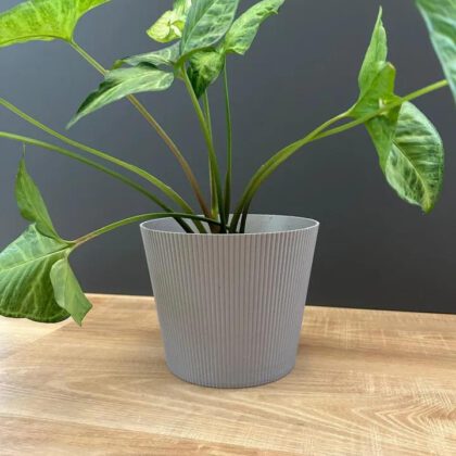 RIBBA – Modern Planter Covers
