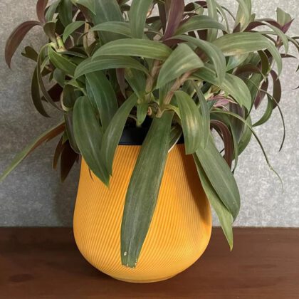 Spiral ribbed pot (planter)