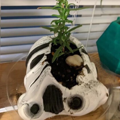 Deathtrooper Planter