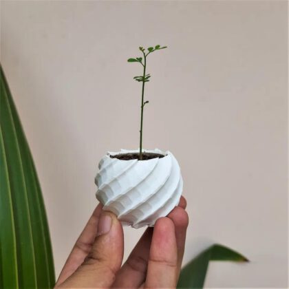 Spherical Tiny Planter Pot