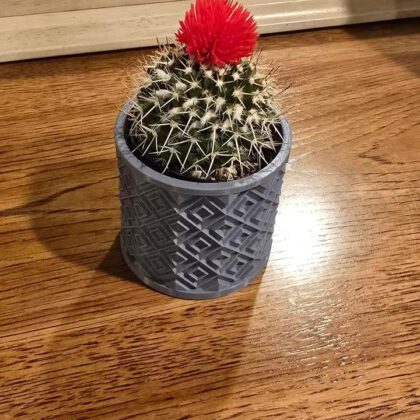 Small Plant Pot