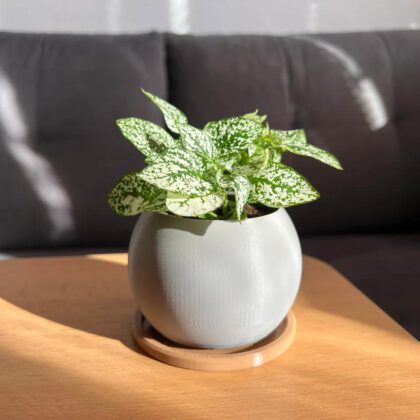 Simple planter