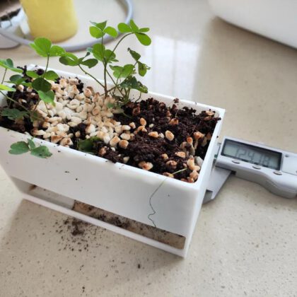 Minimalist rectangle flower pot