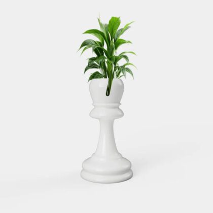 Bishop chess planter