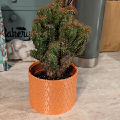 Textured Knurled Flower Pot - Modern Cactus & Succulent Decor