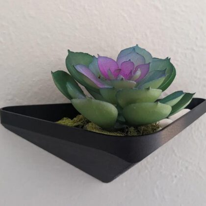 Triangular floating wall planter