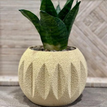 modern sphere planter