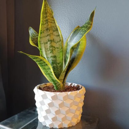 Honeycomb Pot 2