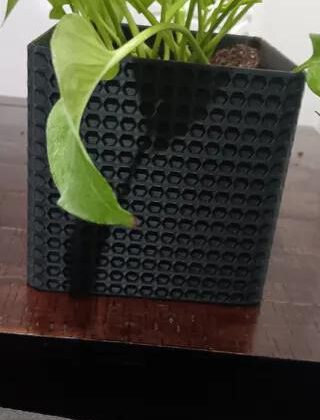 Planter (hexanova geometric pot)