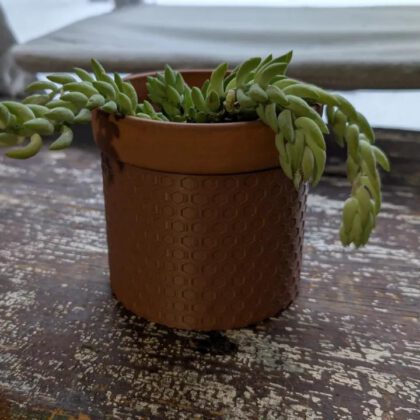 Honeycomb Planter (Fits 10cm Pots) - 2 Heights