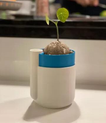 Vase mode self watering pot