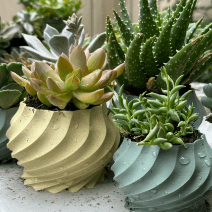 Twisted Plant Pot Collection (5 varieties)