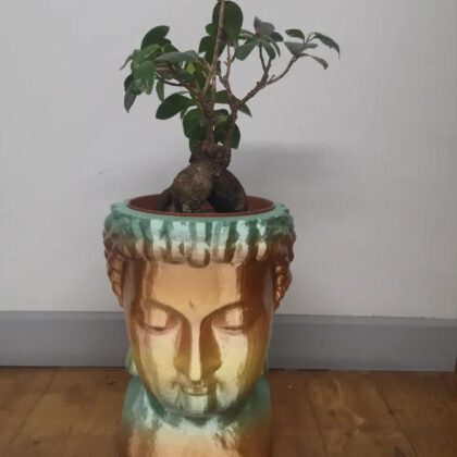 Pot Bouddha pour plante verte