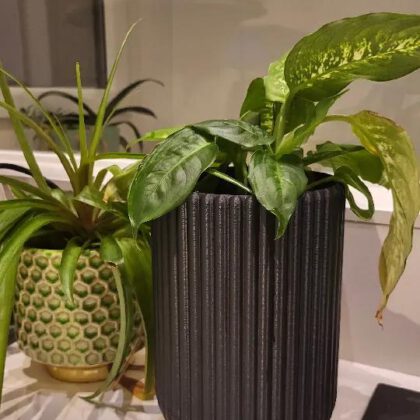Multi-Purpose Vase / Utensil Holder / Planter with Drainage