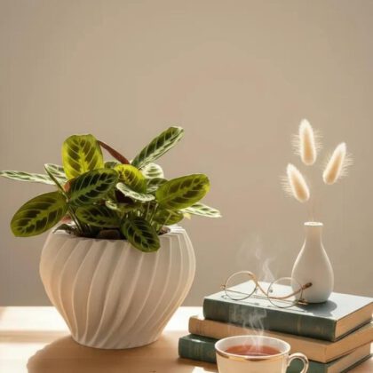 Spiral planter