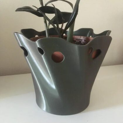 Flower pot Monstera adansonii