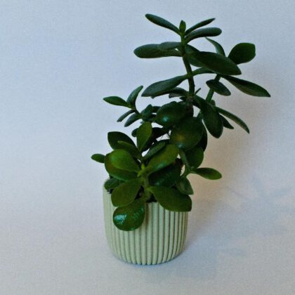 Planter Blumentopf 9cm