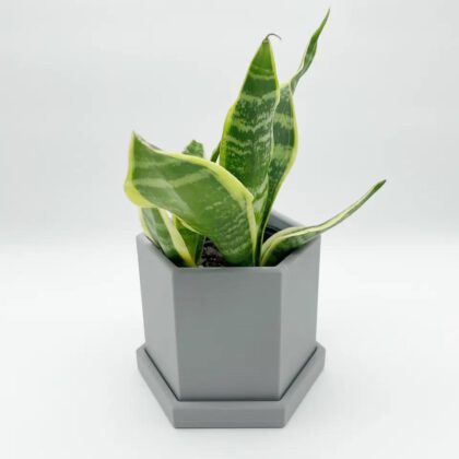 Hexagonal Plant Pot