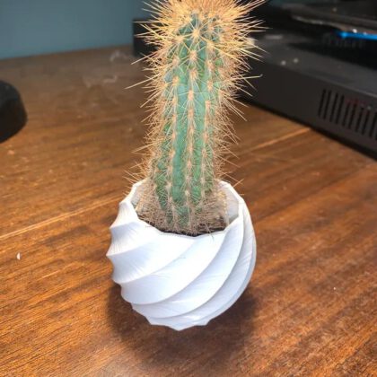 Small Curved Plant Vase