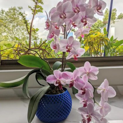 Criss cross pattern planter