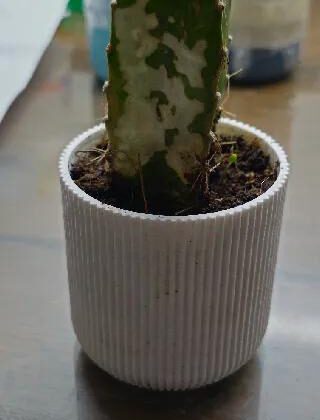 Planter