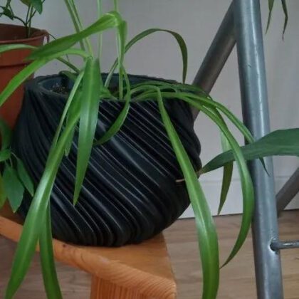 Cache-pot - flowerpot holder - planter