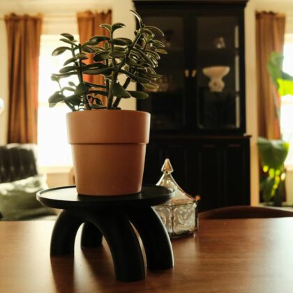 Double Footed Plant Riser
