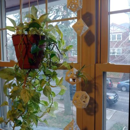 Sierpinski Geometric Plant Hangers