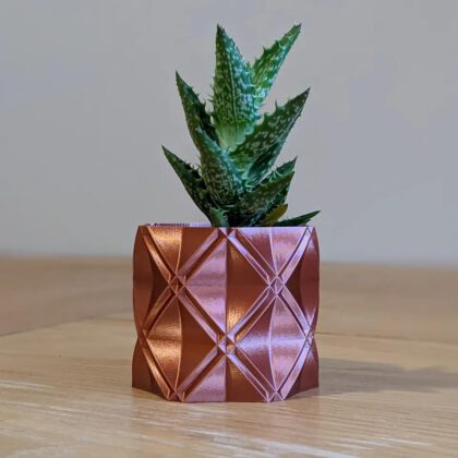 Succulent Plant Pot / Planter "Barry"