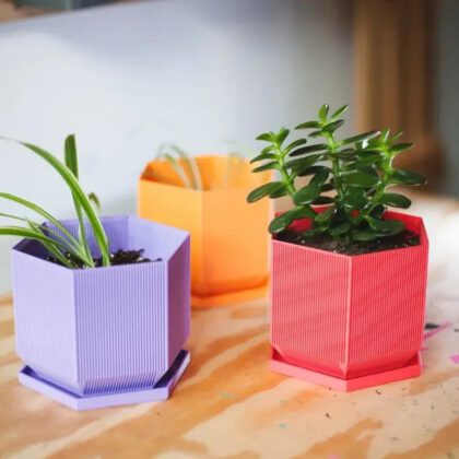 hexagonal planter