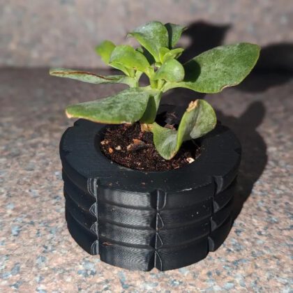 Succulent Planter