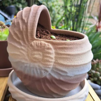 Pot ammonite