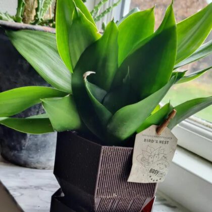 Bigger water container in the: hexagonal planter v2 (vase mode)