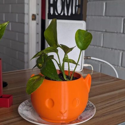 Cat Planter