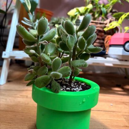 Mario Pipe Planter