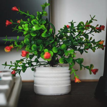 Cylindrical desk Planter Pot (2 Designs)