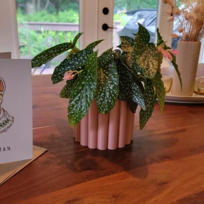 Flower pot/vase