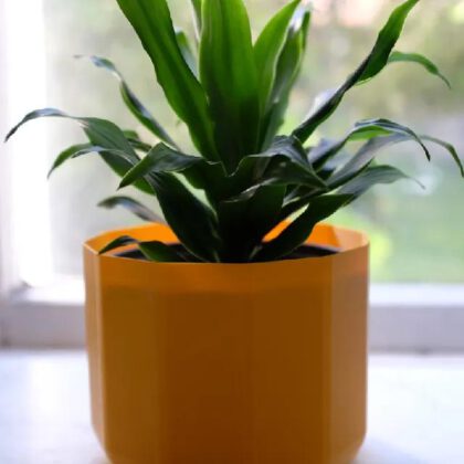 DuoDecigon: Vase Mode plant pot with simple geometry