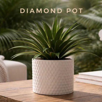 diamond pot