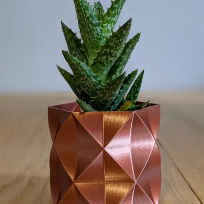 Succulent Plant Pot / Planter "Arnold"