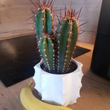 Cactus Vase Remix - Fits 105mm Nursery Pot