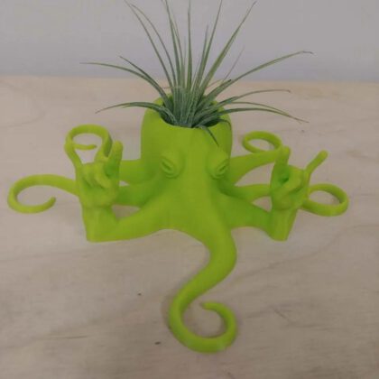 Rock2Pus Planter