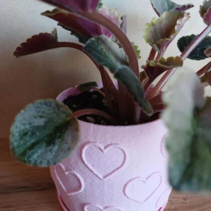 Heart Pattern Planter